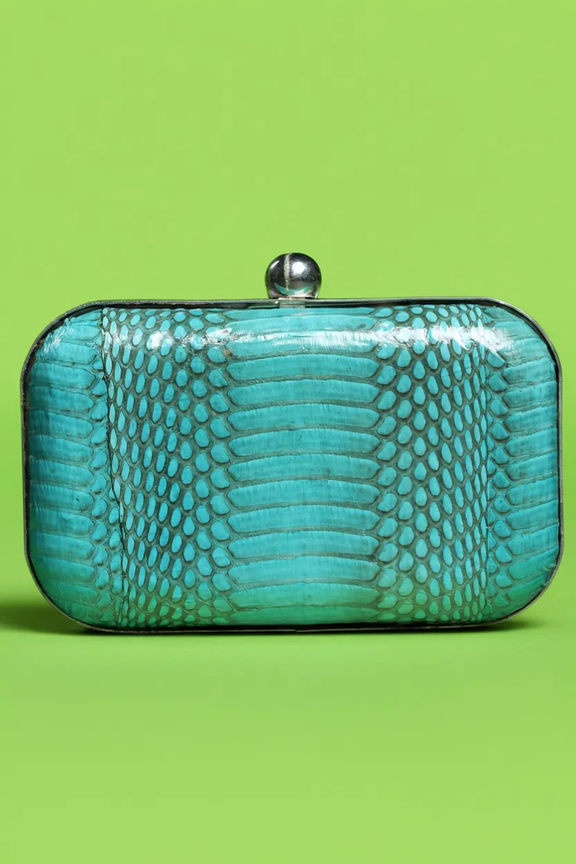 Turquoise Clutch D